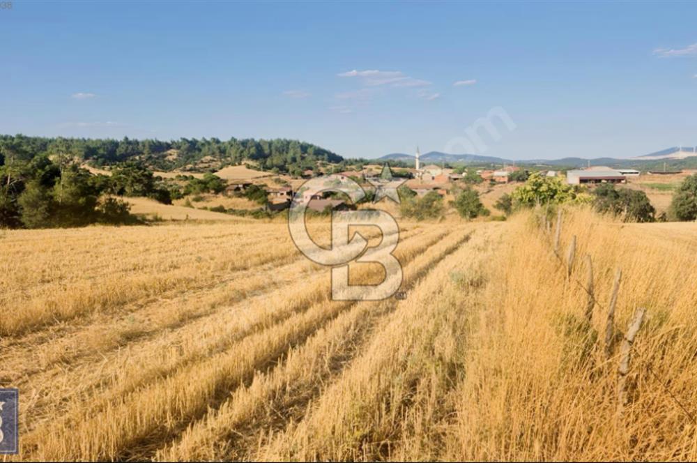 Kazdağları/Bayramiç Yukarışevik'de yerleşimin dibinde"19.300m²"