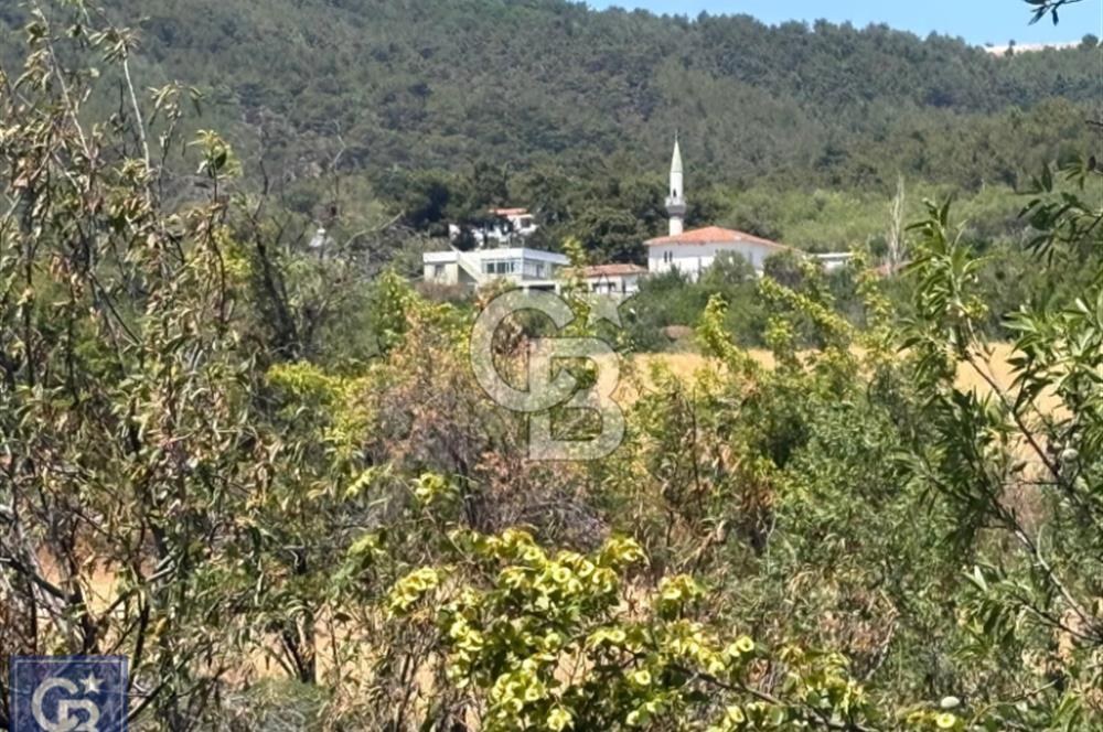 Kazdağları/Bayramiç/ Gedik'de resmi yolu olan 3687m² bağ yeri.