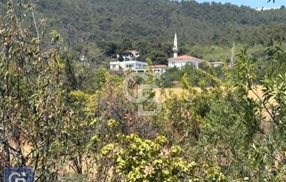 Kazdağları/Bayramiç/ Gedik'de resmi yolu olan 3687m² bağ yeri.