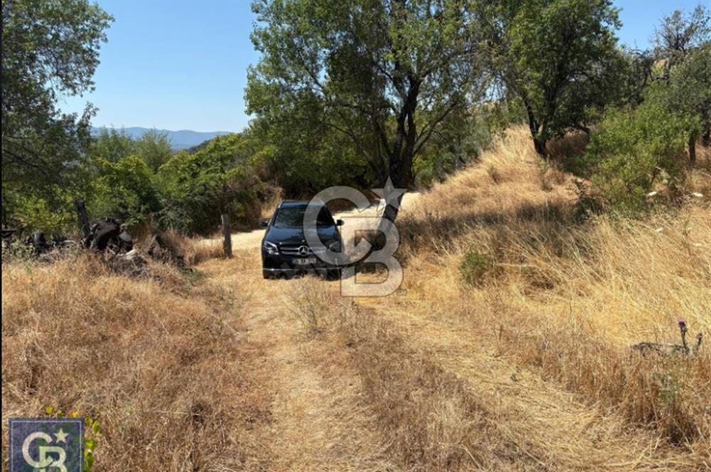 Kazdağları/Bayramiç/ Gedik'de resmi yolu olan 3687m² bağ yeri.