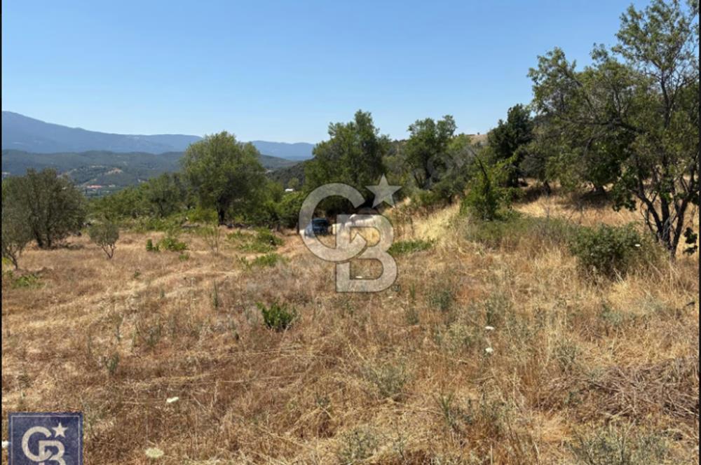 Kazdağları/Bayramiç/ Gedik'de resmi yolu olan 3687m² bağ yeri.