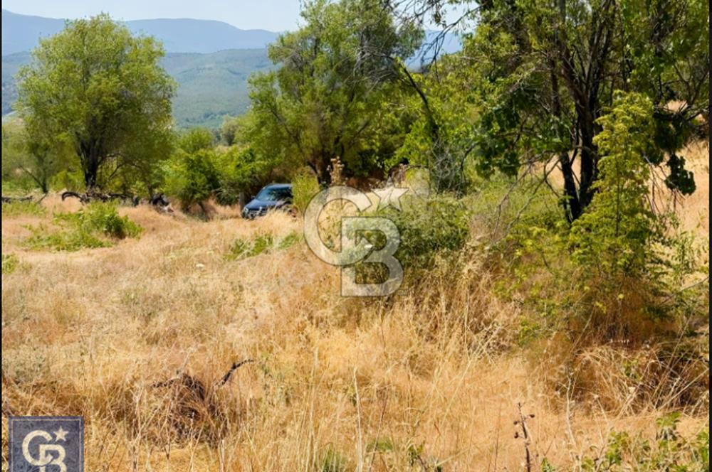 Kazdağları/Bayramiç/ Gedik'de resmi yolu olan 3687m² bağ yeri.