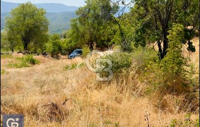 Kazdağları/Bayramiç/ Gedik'de resmi yolu olan 3687m² bağ yeri.