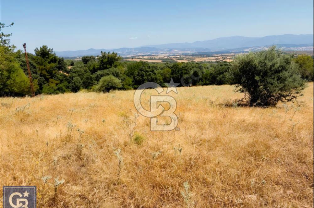 Kazdağları/Bayramiç Yukarıpalamutoba'da imarın dibinde 6304m²