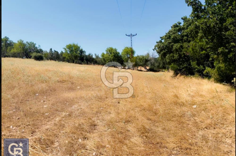 Kazdağları/Bayramiç Yukarıpalamutoba'da imarın dibinde 6304m²
