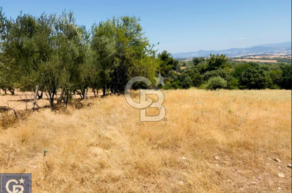 Kazdağları/Bayramiç Yukarıpalamutoba'da imarın dibinde 6304m²