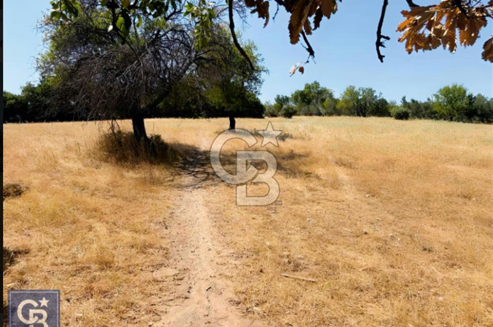 Kazdağları/Bayramiç Yukarıpalamutoba'da imarın dibinde 6304m²