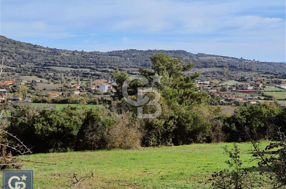 Lapsekiye/Balcılar'da boğaza 20dk.yolu olan 4636m² fırsat arazi.