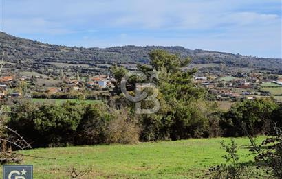 Lapsekiye/Balcılar'da boğaza 20dk.yolu olan 4636m² fırsat arazi.