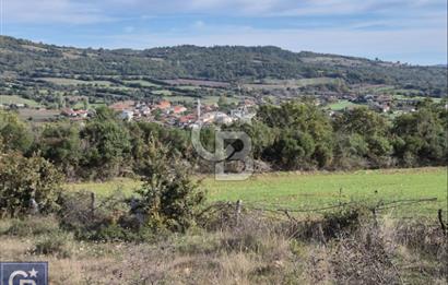 Lapsekiye/Balcılar'da boğaza 20dk.yolu olan 4636m² fırsat arazi.