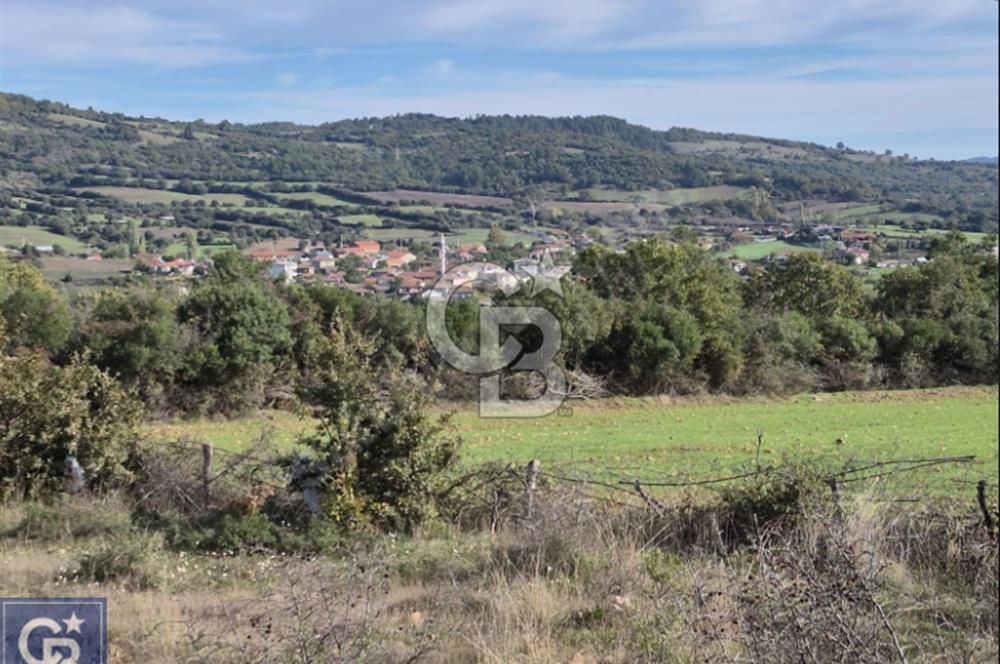 Lapsekiye/Balcılar'da boğaza 20dk.yolu olan 4636m² fırsat arazi.