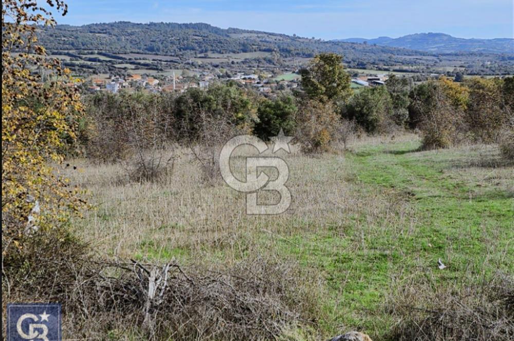 Lapsekiye/Balcılar'da boğaza 20dk.yolu olan 4636m² fırsat arazi.