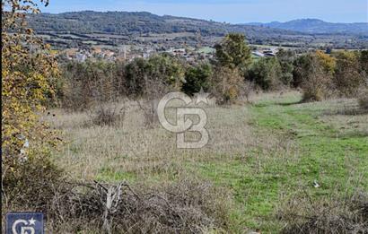 Lapsekiye/Balcılar'da boğaza 20dk.yolu olan 4636m² fırsat arazi.