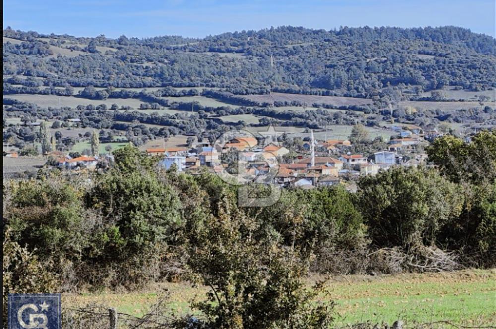 Lapsekiye/Balcılar'da boğaza 20dk.yolu olan 4636m² fırsat arazi.