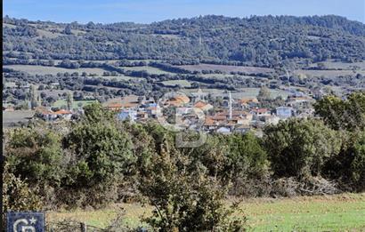 Lapsekiye/Balcılar'da boğaza 20dk.yolu olan 4636m² fırsat arazi.