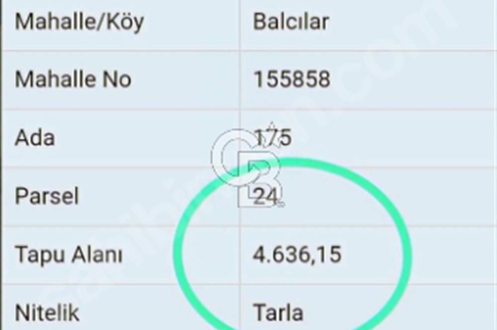 Lapsekiye/Balcılar'da boğaza 20dk.yolu olan 4636m² fırsat arazi.