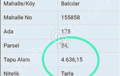 Lapsekiye/Balcılar'da boğaza 20dk.yolu olan 4636m² fırsat arazi.