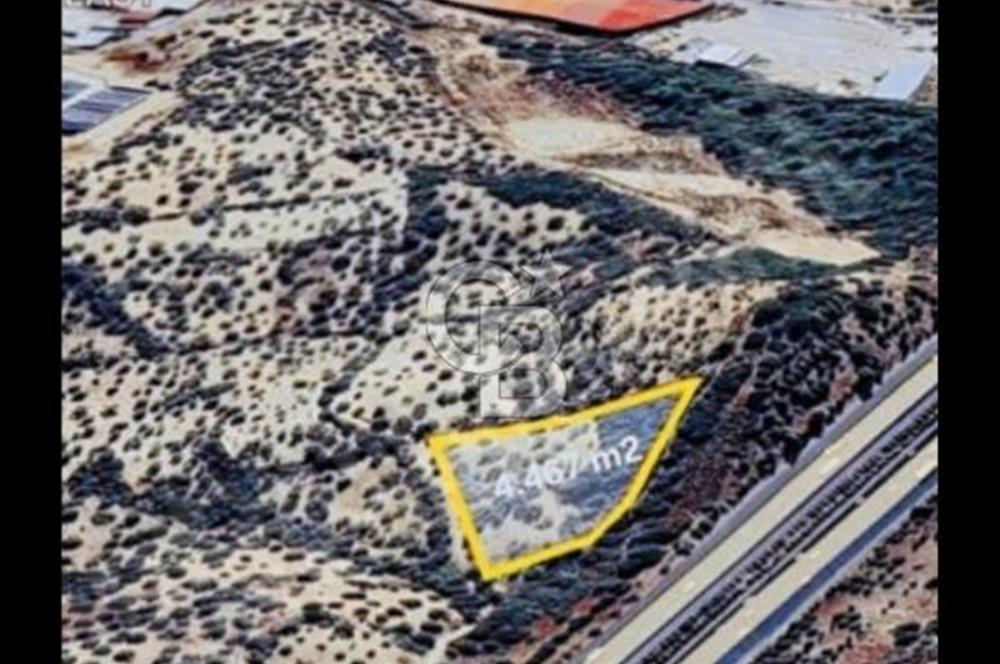 izmir bornovada değerli arsa