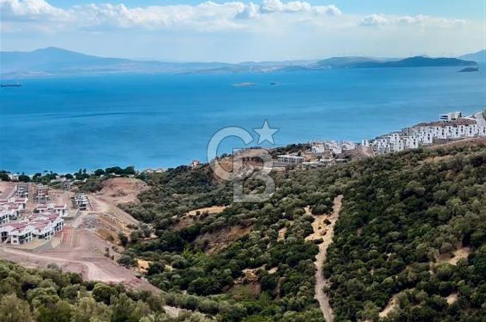 Çandarlı Folkart'a Sınır 311M² İmarlı Arsa + 601M² Tarla Hissesi