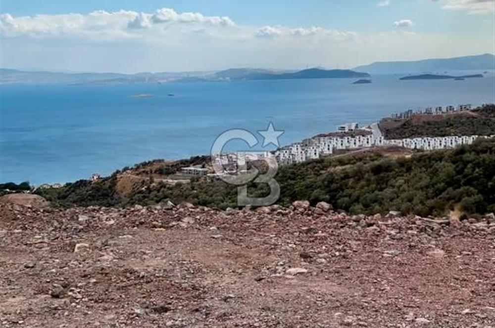 Çandarlı Folkart'a Sınır 311M² İmarlı Arsa + 601M² Tarla Hissesi