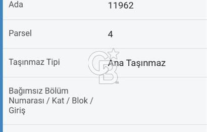 Balıkesir Karaesi