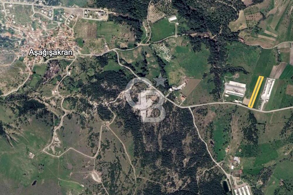 Bergama Örlemiş'te RES&GES yatırımları Çevresinde 3.674 m2 TARLA