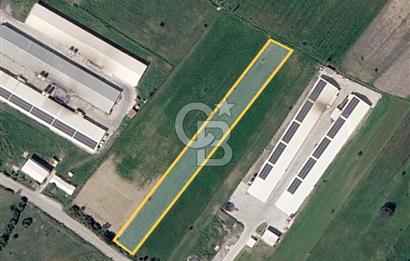 Bergama Örlemiş'te RES&GES yatırımları Çevresinde 3.674 m2 TARLA
