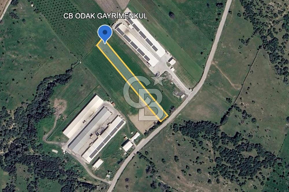 Bergama Örlemiş'te RES&GES yatırımları Çevresinde 3.674 m2 TARLA