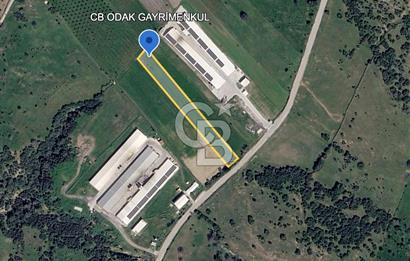 Bergama Örlemiş'te RES&GES yatırımları Çevresinde 3.674 m2 TARLA