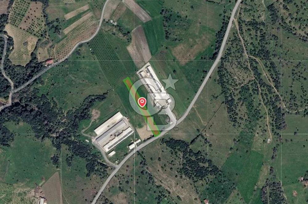 Bergama Örlemiş'te RES&GES yatırımları Çevresinde 3.674 m2 TARLA