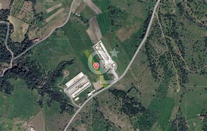 Bergama Örlemiş'te RES&GES yatırımları Çevresinde 3.674 m2 TARLA