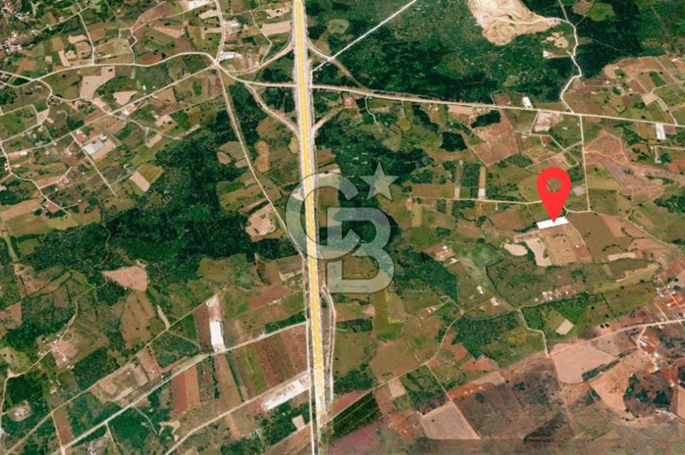 ANTALYA KEPEZ BAŞKÖY'DE 4960 M2 SATILIK TARLA