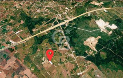 ANTALYA KEPEZ BAŞKÖY'DE 4960 M2 SATILIK TARLA
