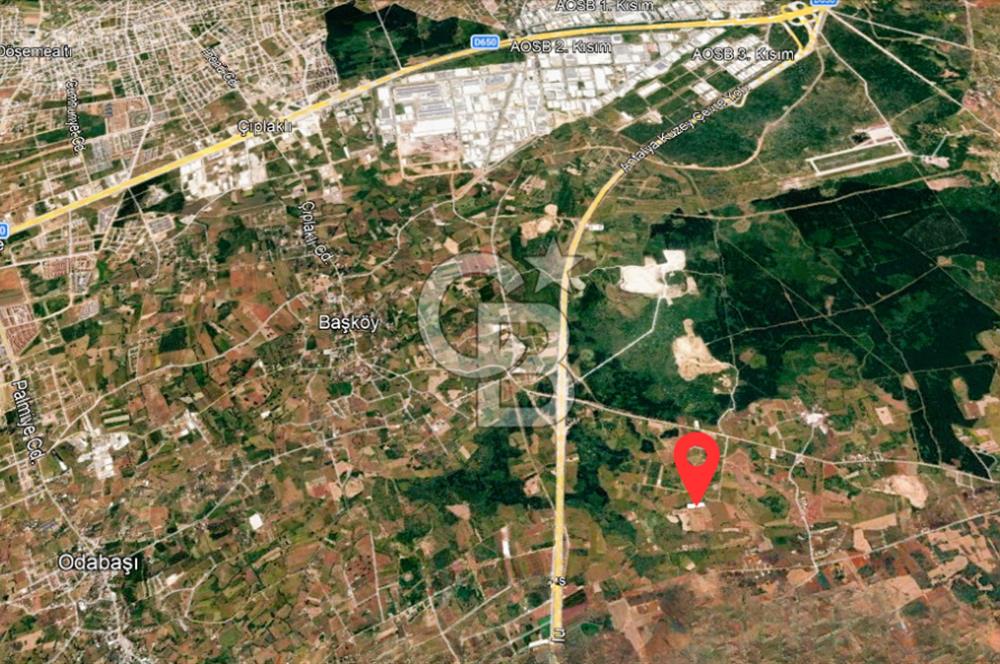 ANTALYA KEPEZ BAŞKÖY'DE 4960 M2 SATILIK TARLA