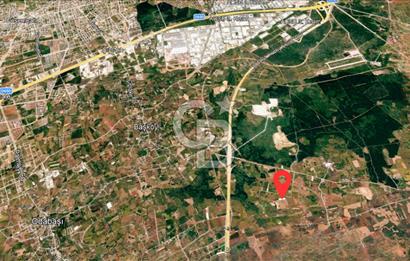 ANTALYA KEPEZ BAŞKÖY'DE 4960 M2 SATILIK TARLA