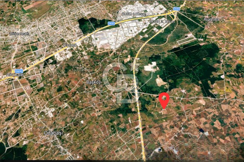 ANTALYA KEPEZ BAŞKÖY'DE 4960 M2 SATILIK TARLA
