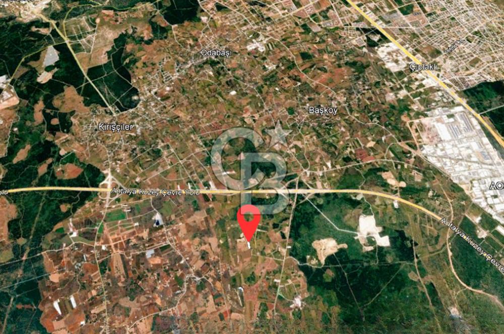 ANTALYA KEPEZ BAŞKÖY'DE 4960 M2 SATILIK TARLA