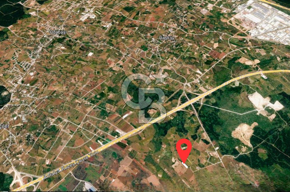 ANTALYA KEPEZ BAŞKÖY'DE 4960 M2 SATILIK TARLA