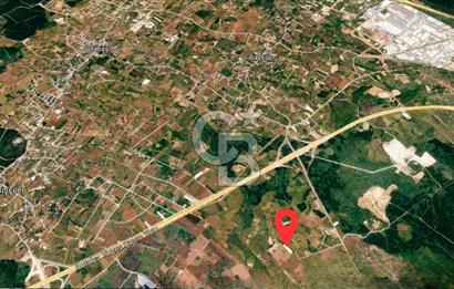 ANTALYA KEPEZ BAŞKÖY'DE 4960 M2 SATILIK TARLA