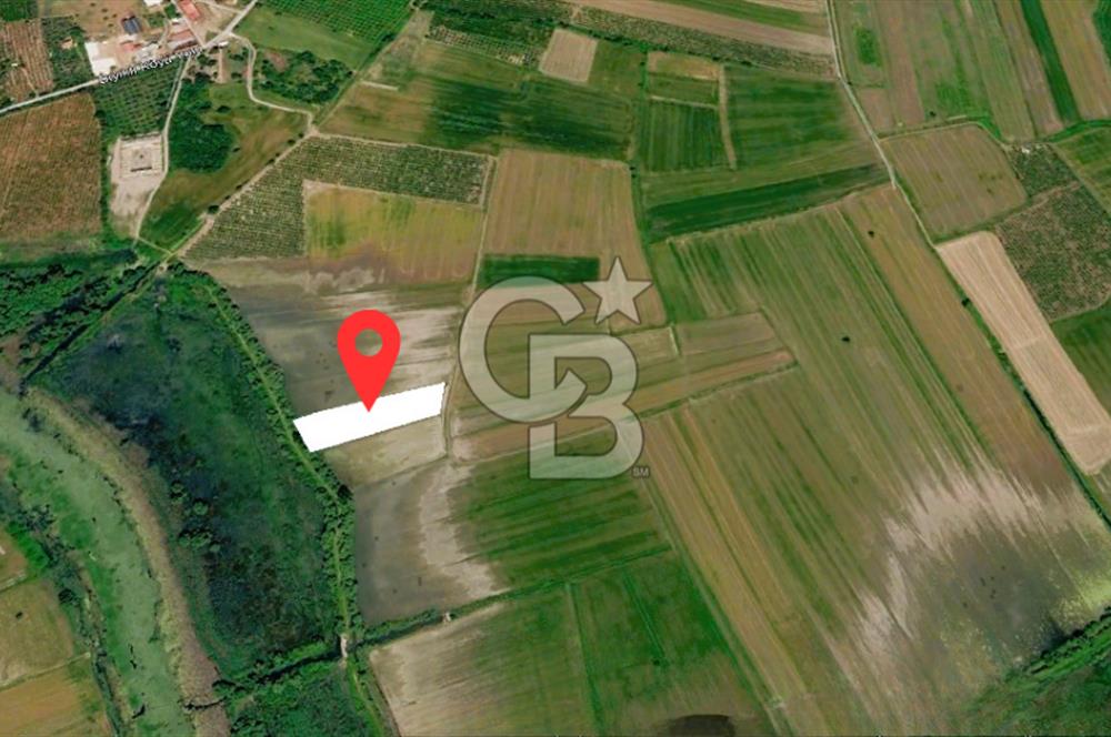 DÖŞEMEALTIN'DA FIRSAT 7060 M2 TEK TAPU SATILIK TARLA....