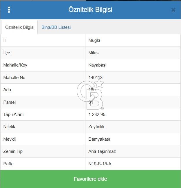 MİLAS KAYABAŞINDA YATIRIMLIK 1232 METRE SATILIK ZEYTİNLİK