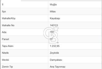 MİLAS KAYABAŞINDA YATIRIMLIK 1232 METRE SATILIK ZEYTİNLİK - 3 - 375147