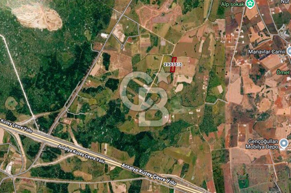 ANTALYA KEPEZ BAŞKÖY'DE 4960 M2 SATILIK TARLA