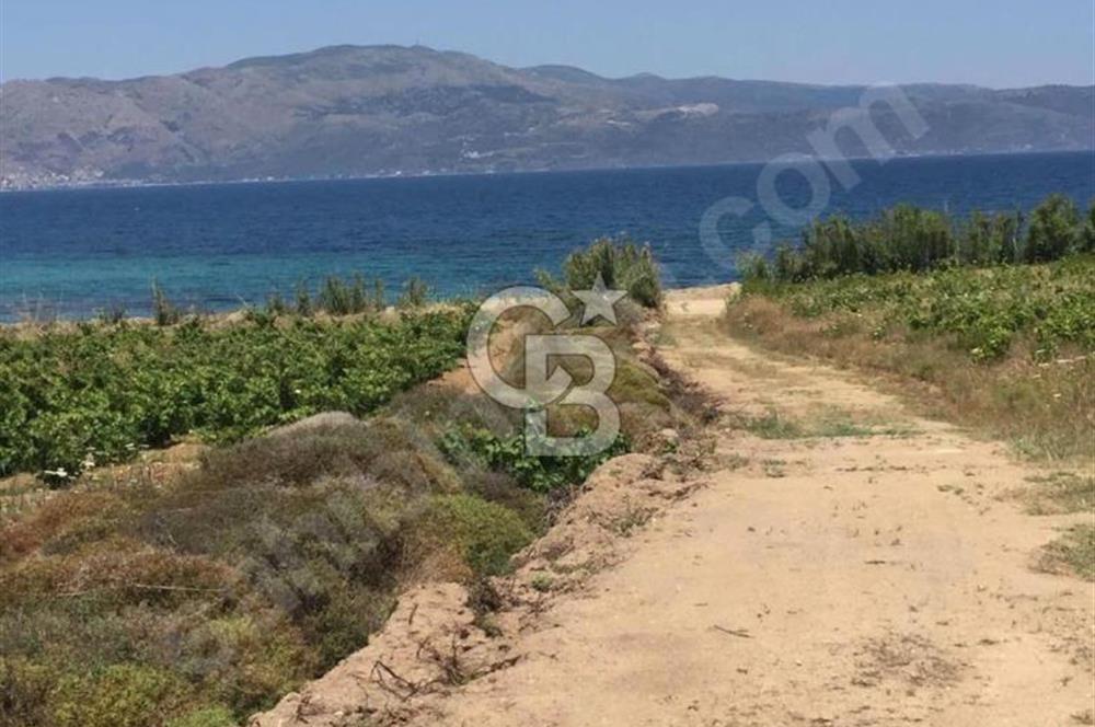 avşada imarlı denizin dibi arsa