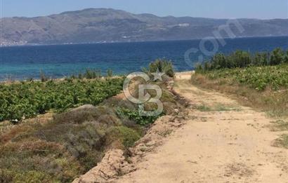 avşada imarlı denizin dibi arsa