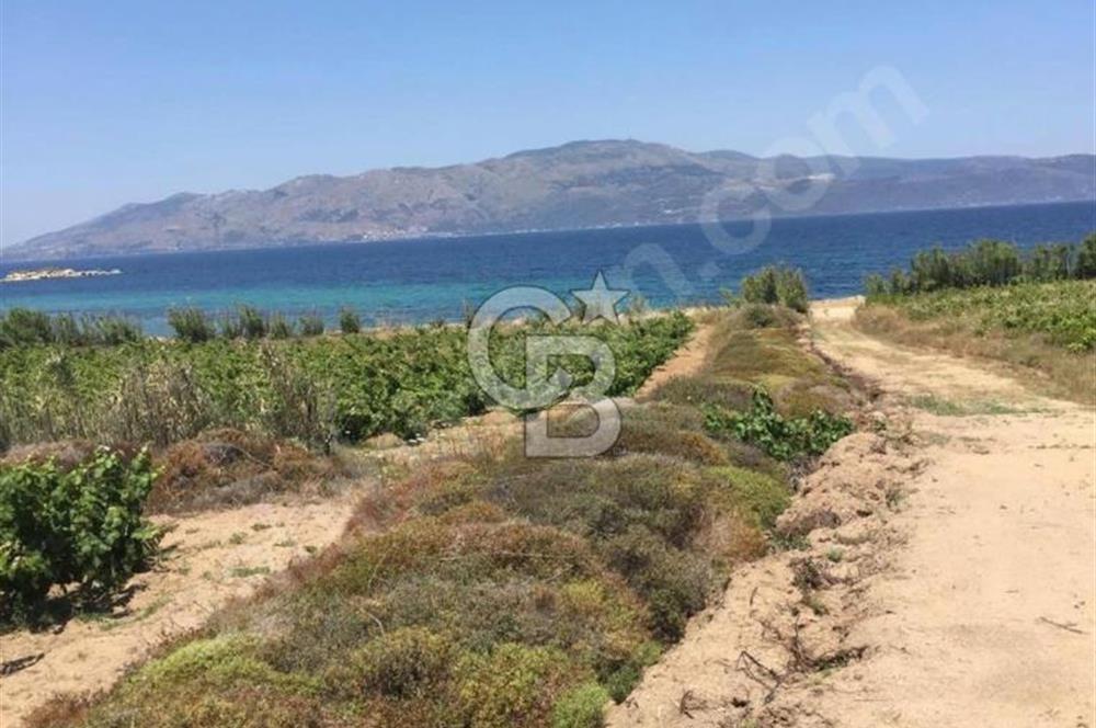 avşada imarlı denizin dibi arsa