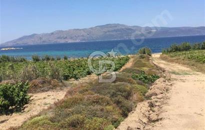 avşada imarlı denizin dibi arsa