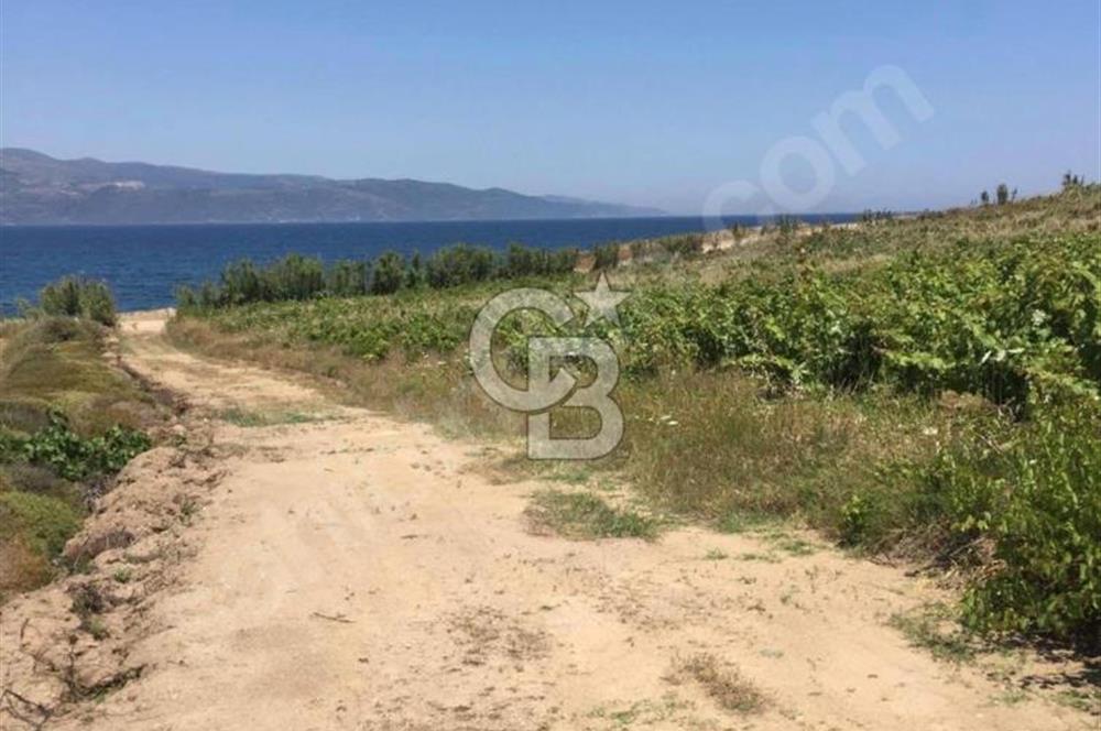 avşada imarlı denizin dibi arsa