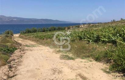 avşada imarlı denizin dibi arsa