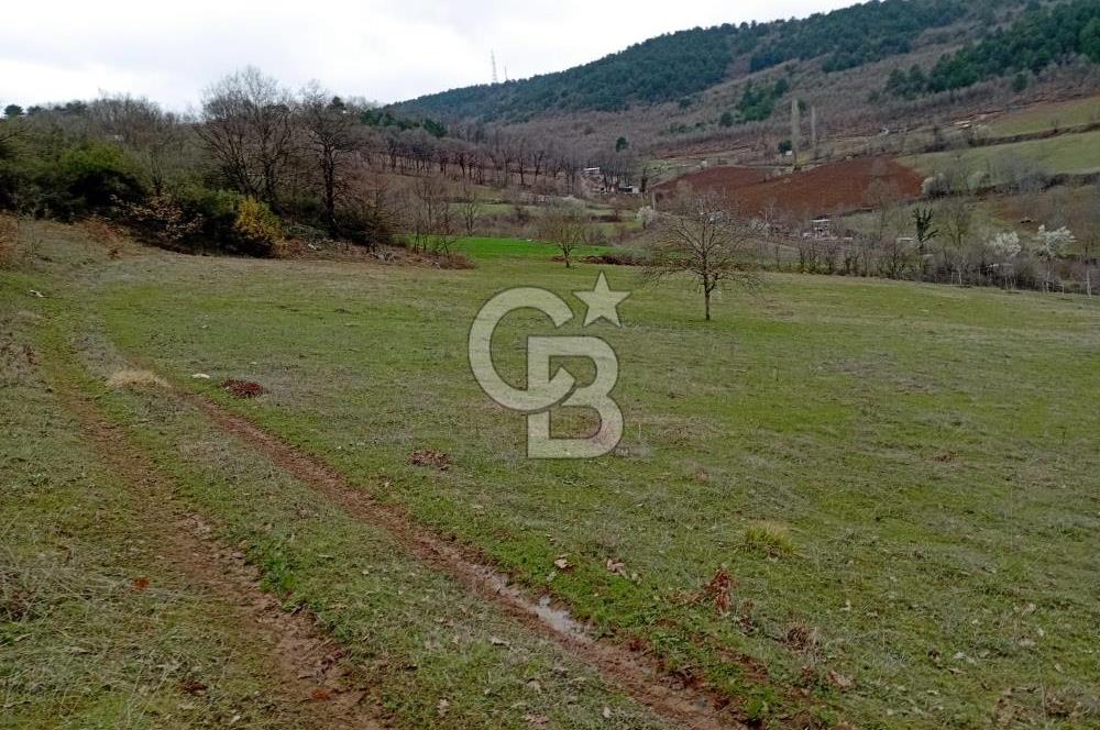  CB BAŞROL'DEN KESTEL NÜSHETİYE SATILIK TARLA